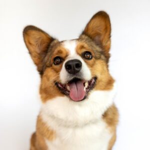 Charlie